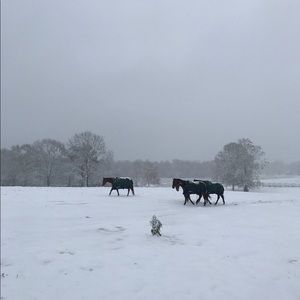 Meet your Posher, Rhonda